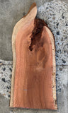 Timber Piece - Woody Pear 500 x 260 x 32mm