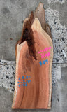 Timber Piece - Woody Pear 570 x 270 x 32mm