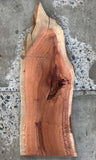 Timber Piece - Woody Pear 570 x 270 x 32mm