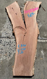 Timber Piece - Paperbark 300 x 250 x 30mm