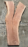 Timber Piece - Paperbark 300 x 250 x 30mm
