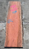 Timber Piece - Weeping Red River Gum 1300 x 360-520 x 31mm