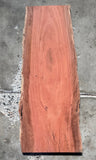 Timber Piece - Weeping Red River Gum 1300 x 360-520 x 31mm