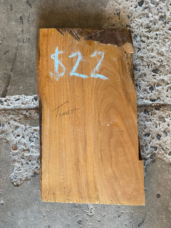 Timber Piece - Tuart 450 x 250 x 25mm