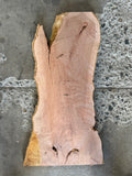 Timber Piece - Paperbark 680 x 200-300 x 27mm