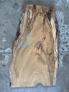 Timber Piece - Marri 820 x 340-490 x 27mm